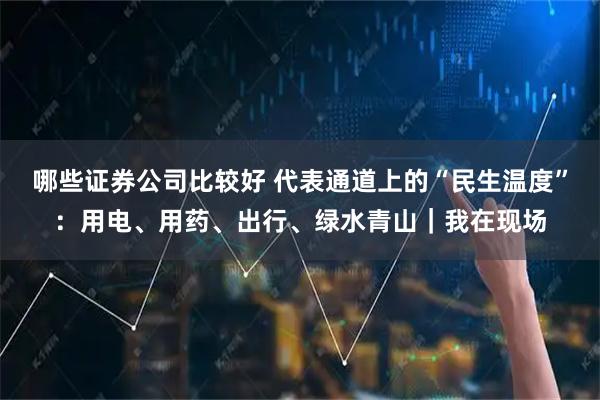 哪些证券公司比较好 代表通道上的“民生温度”：用电、用药、出行、绿水青山｜我在现场