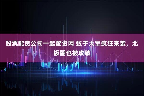 股票配资公司一起配资网 蚊子大军疯狂来袭,北极圈也被攻破